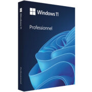 Microsoft Windows 11 Professional