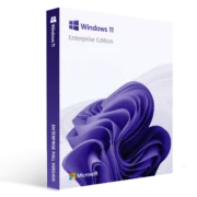 Microsoft Windows 11 Home